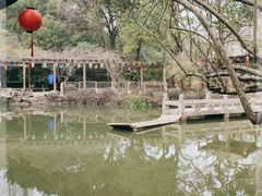 -上海醉白池公园
