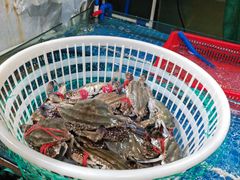 -众彩物流水产市场