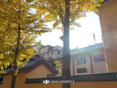 -正觉寺