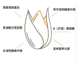 -姜美堂·蒸姜除湿の纤体美颜馆