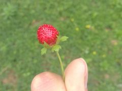 -河海大学(常州校区)