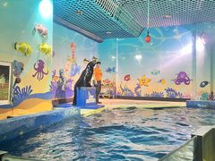 -太平洋海底世界