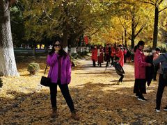 -辽东学院(南校区)