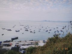 -枸杞岛