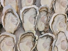 -浩运海鲜·16年专注青岛菜(石老人店)