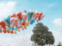 -上海迪士尼度假区