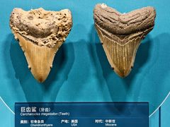 -国家自然博物馆