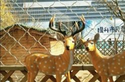 -萌宠亲子动物乐园(槐房万达店)