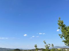 -密云玫瑰情园