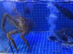 -77号渔船·蒸海鲜青岛菜(积米崖店)