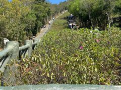 -梧桐山风景名胜区