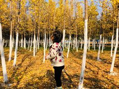 -艾溪湖湿地公园