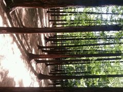 android_upload_pic-八大关景区