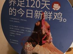 -佬肥猫(国华广场店)