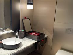 -新加坡瑞士史丹福酒店