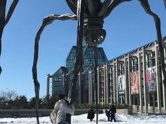 -加拿大国家美术馆
