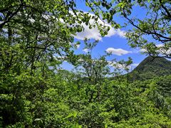 -鬼笑石后山停车场