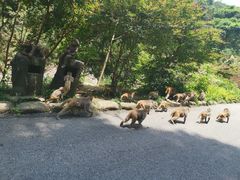 -姑婆山旅游区