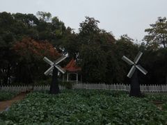 -晓港公园