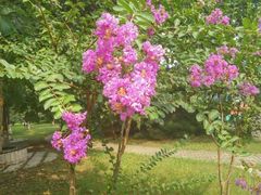 -防灾科技学院(南校区)