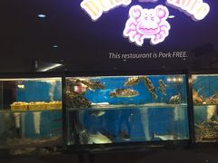 -Delay No More Crab Restaurant