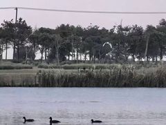 -春花秋色城市公园