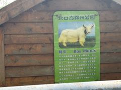 -长白岛森林公园