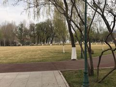 -哈尔滨文化公园
