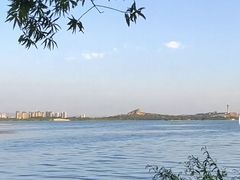 -南湖国家城市湿地公园