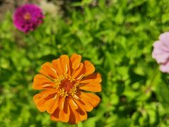 -杜氏旅游度假区