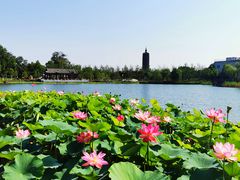-西海子公园