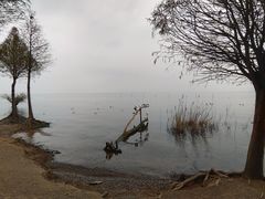 -捞渔河湿地公园