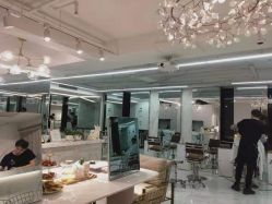 -潘多拉Hairsalon
