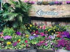 -春暖花开(西溪店)