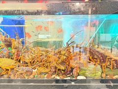 -渔洲情海鲜酒家