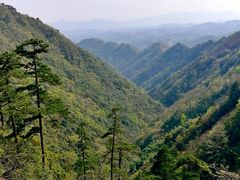-东天目山风景区