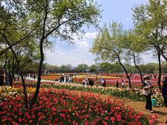-北陵公园