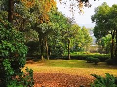 -上海市保健医疗中心(华东疗养院)