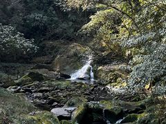 -碧峰峡风景区