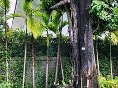 -Chom Cafe and Restaurant