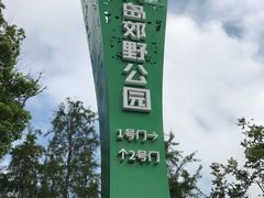 -上海长兴岛郊野公园