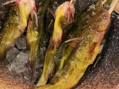 黄辣丁-王家渡火锅店(棕榈泉店)