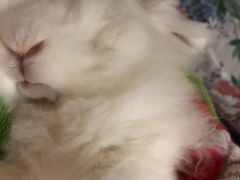 -雨林宠物医院 非犬猫异宠专科