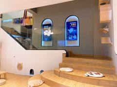 -啵啵喵·猫咖(攀华国际店)