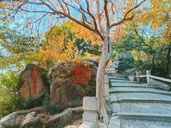 -灵岩山风景区