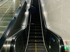 -大龙山(地铁站)