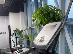 -ALIV WELLNESS运动健身(浦东大道店)