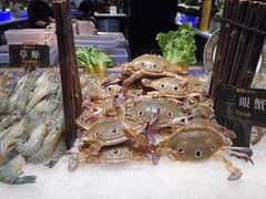 -加餐海鲜自助(集美银泰百货店)