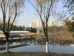 -白塘生态植物园