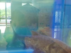 -河源万绿湖美思威尔顿酒店